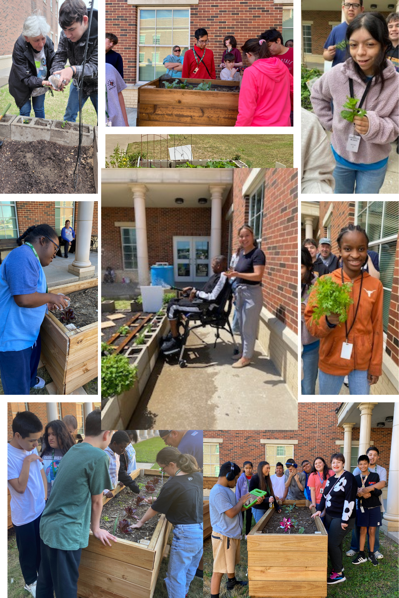24 Life Skills Garden for website