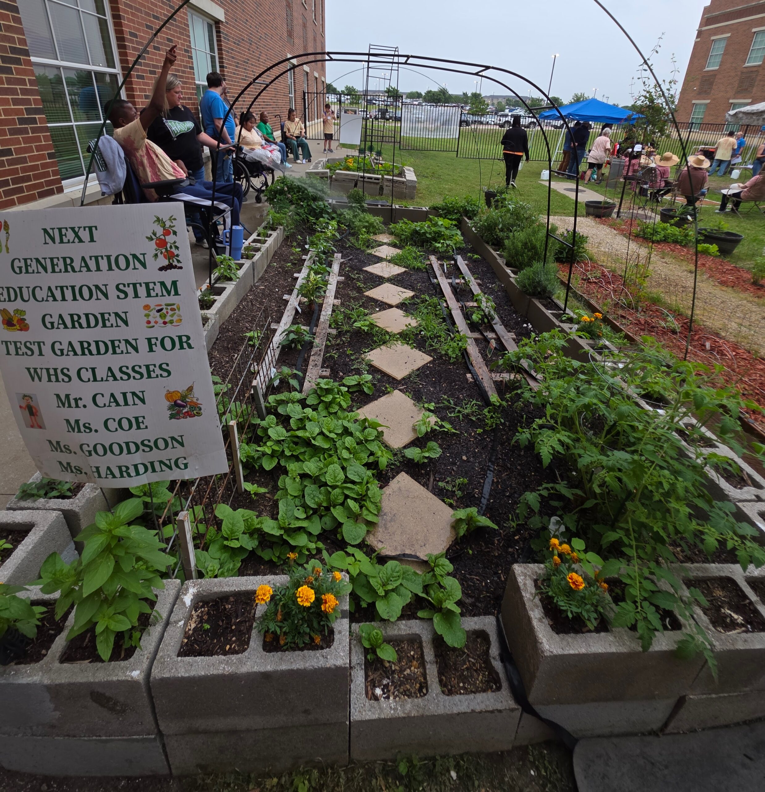 26 Spring test garden